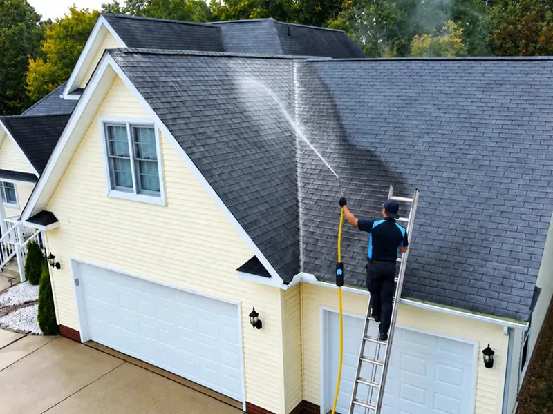 Gutter Cleaning